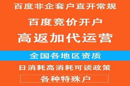 谷歌竞价实战：低成本高回报的广告投放